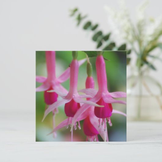 Pretty Pink Fuchsia Flowers (Standing Front)