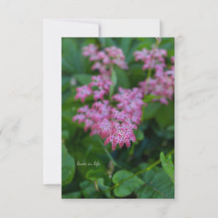 Pretty Pink Garden Flower Note Card