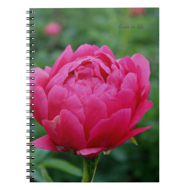 Pretty Pink Garden Peony Notebook (Front)