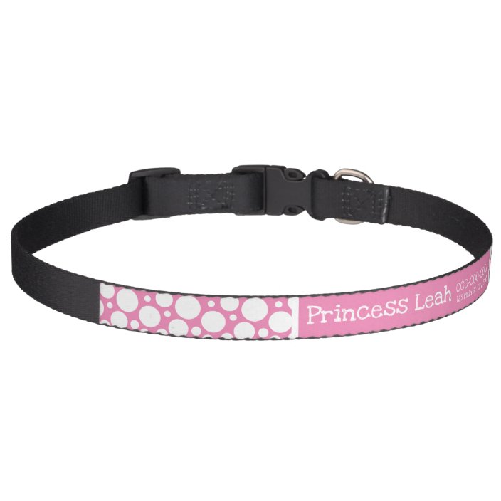 lost dog collar