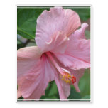 Pretty Pink Hibiscus Temporary Tattoos