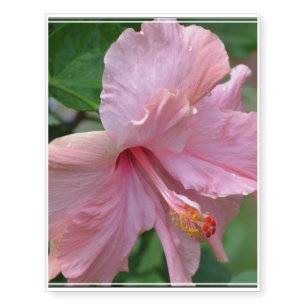 Pretty Pink Hibiscus Temporary Tattoos