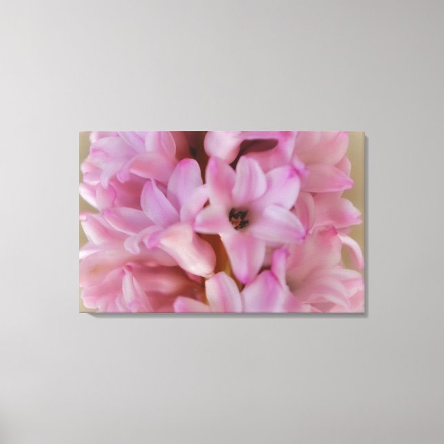 Pretty pink Hyacinth Spring Flower Canvas Art (Front)
