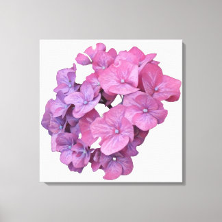 Pretty pink hydrangea flower modern floral minimal canvas print