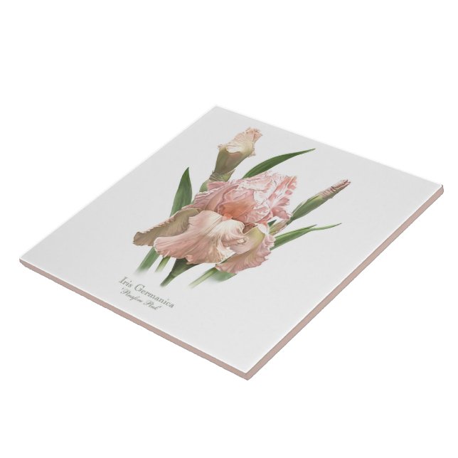 Pretty Pink Iris Botanical Style Art Ceramic Tile (Side)