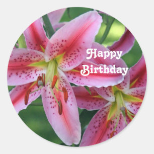 Pretty Pink Lily Floral Photo Birthday Classic Round Sticker