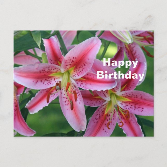 Pretty Pink Lily Floral Photo Birthday Postcard (Front)