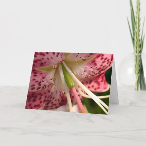 Pretty Pink Lily Flower Photo Card