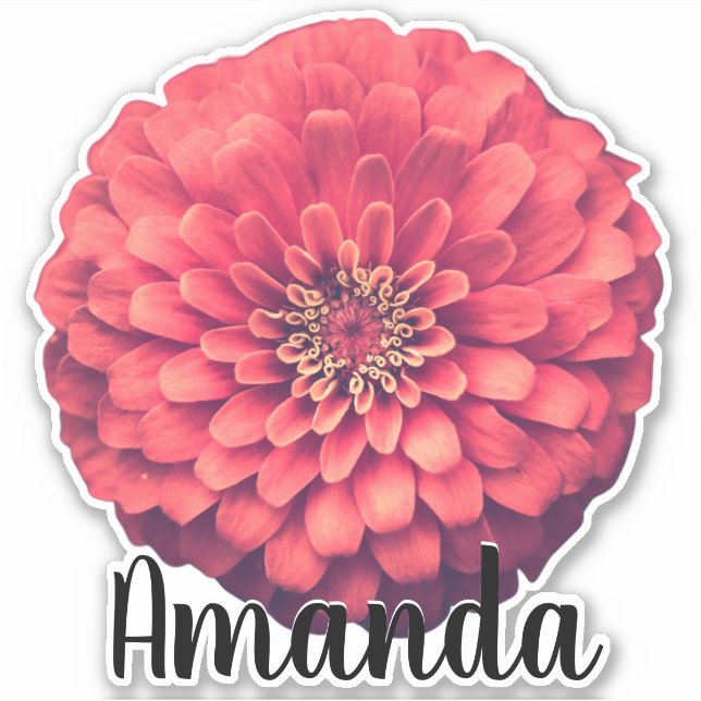 Pretty Pink Monogram Name Flower Nature Plant Cute Sticker (Front)