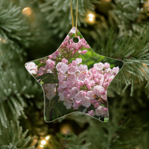 Pretty Pink Mountain Laurel Flowers Ceramic Ornament