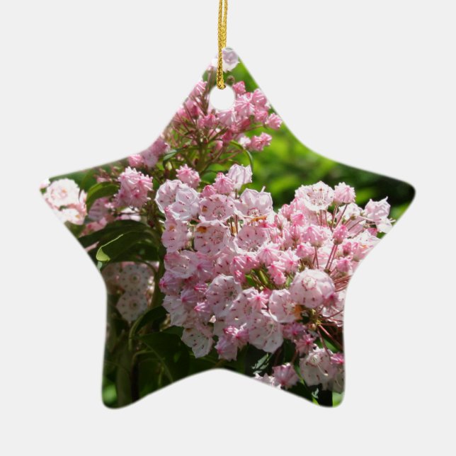 Pretty Pink Mountain Laurel Flowers Ceramic Ornament (Front)