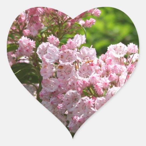 Pretty Pink Mountain Laurel Flowers Heart Sticker