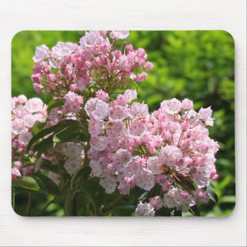 Pretty Pink Mountain Laurel Flowers Mouse Pad