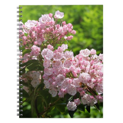 Pretty Pink Mountain Laurel Flowers Notebook