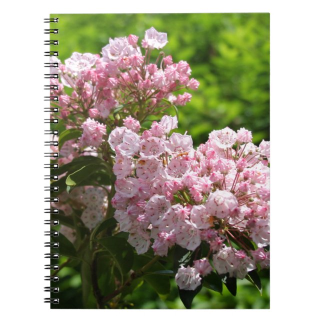 Pretty Pink Mountain Laurel Flowers Notebook (Front)