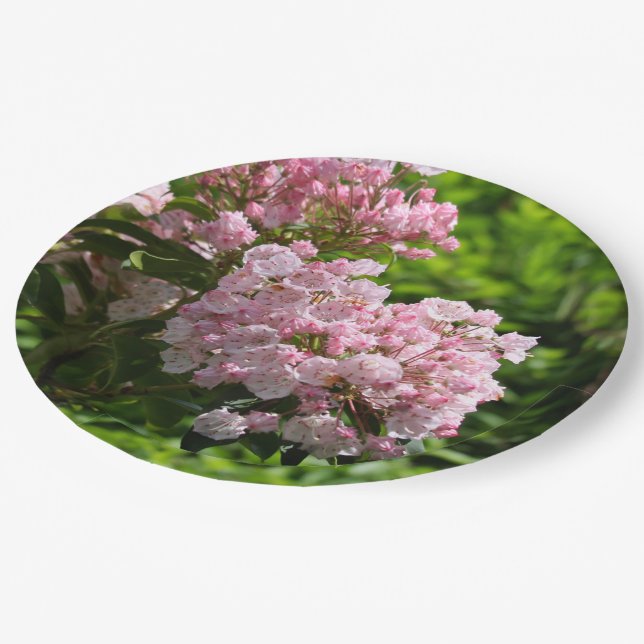 Pretty Pink Mountain Laurel Flowers Paper Plates (Angled)