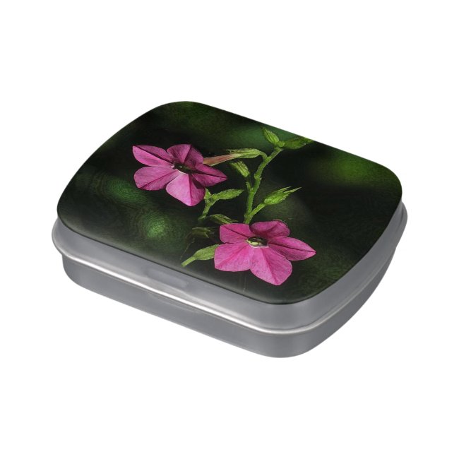 Pretty Pink Nicotiana Flowers Candy Tin