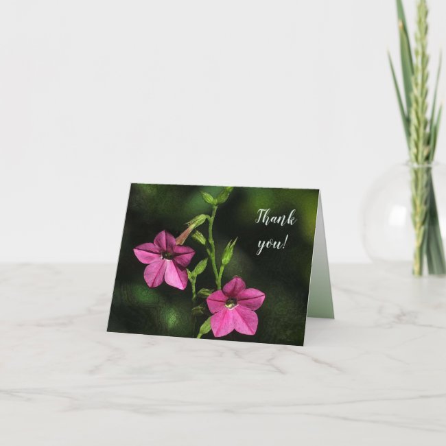 Pretty Pink Nicotiana Flowers Thank You Card