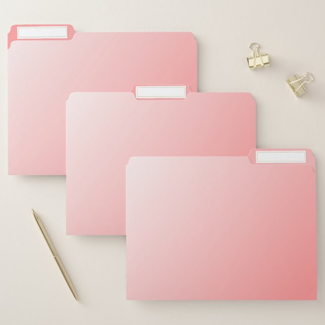 Pretty Pink Ombre File Folder (Set)