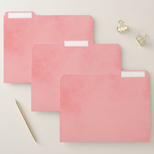 Pretty Pink Parchment File Folder