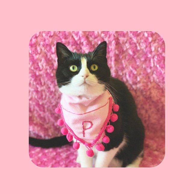 Pretty Pink Peaches the Tuxedo Cat Stickers (Creator Uploaded)