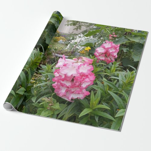 Pretty Pink Penstemon Flower Floral Pattern Garden Wrapping Paper