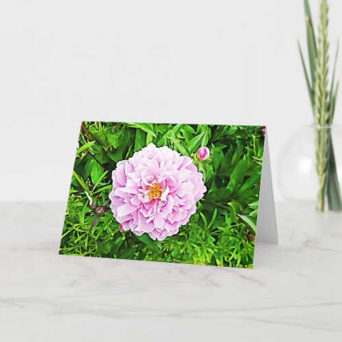 Pretty pink Peonie Blank Card