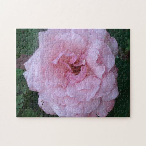 Pretty Pink Peonie with Raindrops Jigsaw Puzzle