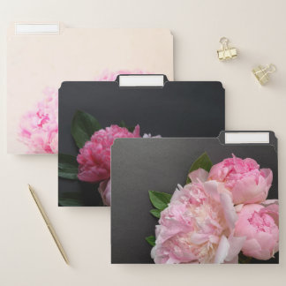 Pretty pink peonies file folder