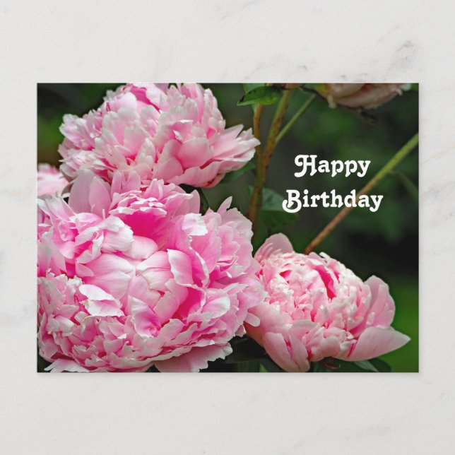 Pretty Pink Peonies Floral Photo Birthday Postcard (Front)