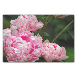 Pretty Pink Peonies Floral Photo Tissue Paper
