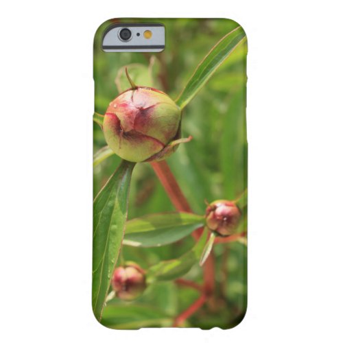 Pretty Pink Peonies Garden Photo Barely There iPhone 6 Case