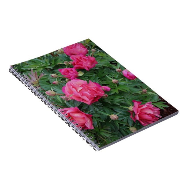 Pretty Pink Peony Bush Notebook (Right Side)