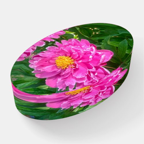 Pretty Pink Peony Flower Gift Idea  Paperweight