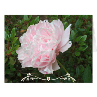 Pretty Pink Peony Flower Green Leaves Cards