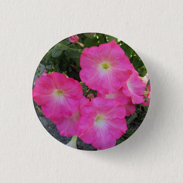 Pretty Pink Petunia Flower Photo  Button (Front)
