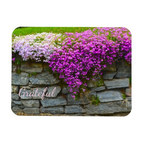 Pretty Pink Phlox Gratitude Magnet