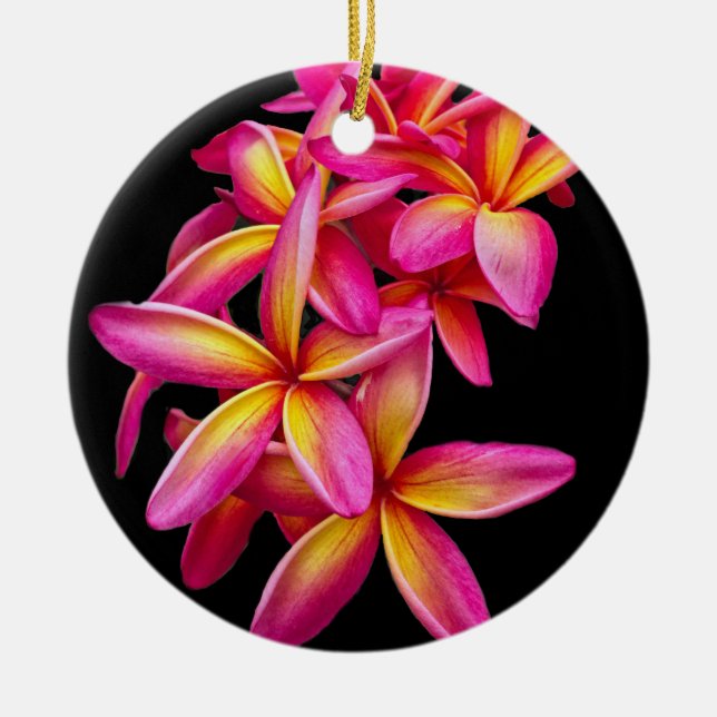 Pretty Pink Plumeria Floral Photo Ceramic Ornament (Front)