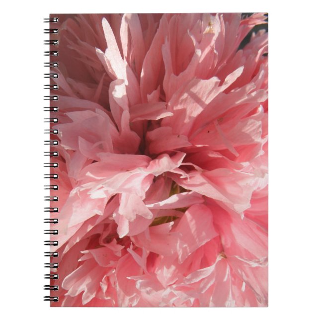 Pretty Pink Poppy Notebook (Front)