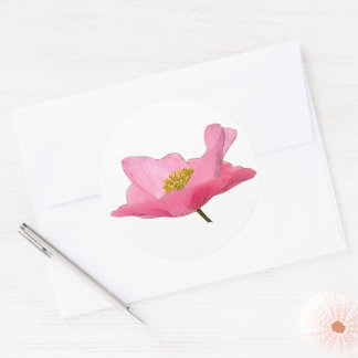 Pretty Pink Poppy Photograph Classic Round Sticker