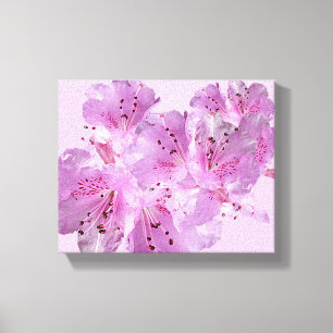 Pretty pink rhododendron blossom beautiful modern canvas print