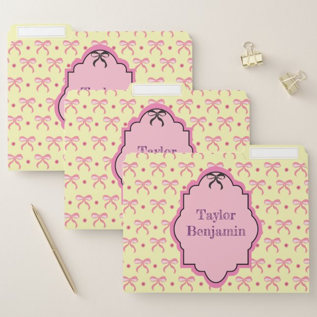 Pretty Pink Ribbon File Folder (Set)