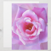 Pretty Pink Rose (Front/Back)