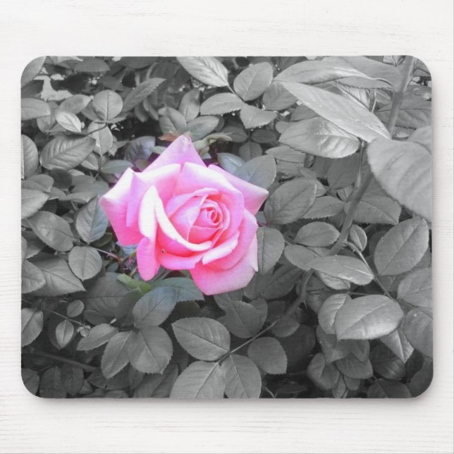 Pretty Pink Rose Black White Mouse Pad (Front)