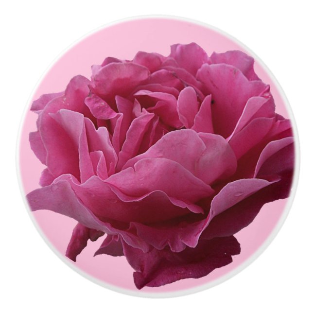 Pretty pink rose ceramic beautiful floral stylish knob (Front)