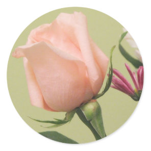 Pretty Pink Rose Classic Round Sticker