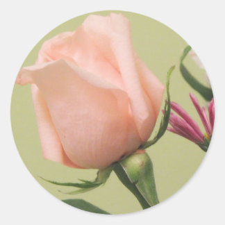 Pretty Pink Rose Classic Round Sticker