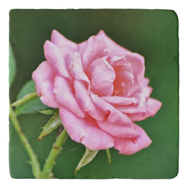 Pretty Pink Rose Flower Art Marble Trivet (Front)
