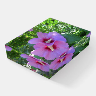 Pretty Pink Rose of Sharon Photo Paperweight