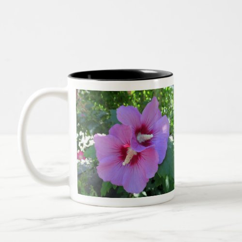 Pretty Pink Rose of Sharon Photo Two_Tone Coffee Mug